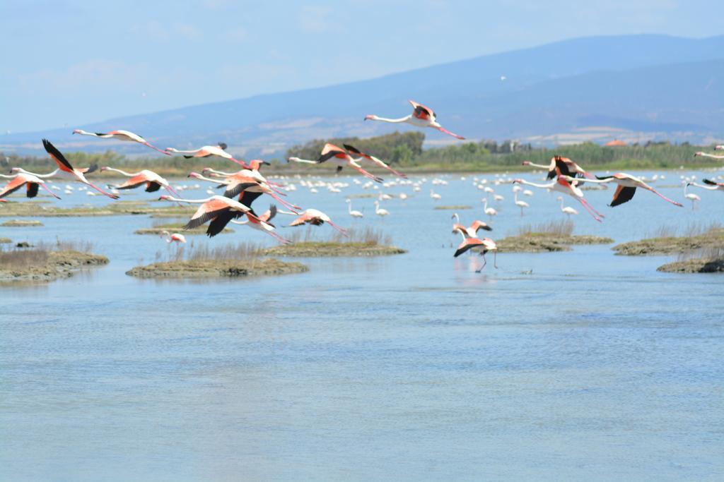 B&B Terre Del Sinis Càbras Dış mekan fotoğraf